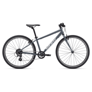 GIANT ARX 26" bicycle - grey - GIANT - Evelostore