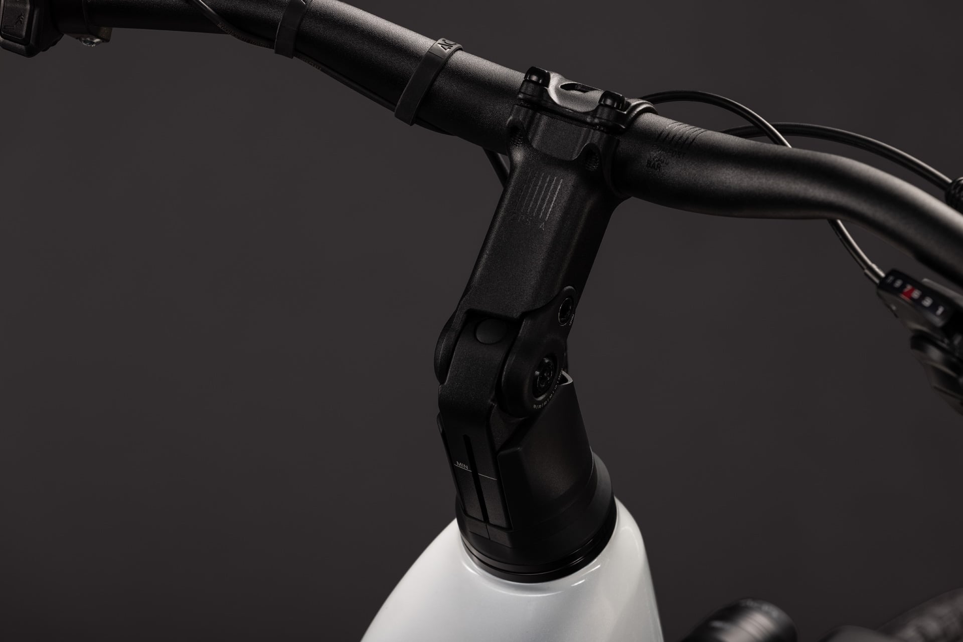 CUBE REACTION HYBRID RACE 800 29 Elektromountainbike – Lizard’n’Black