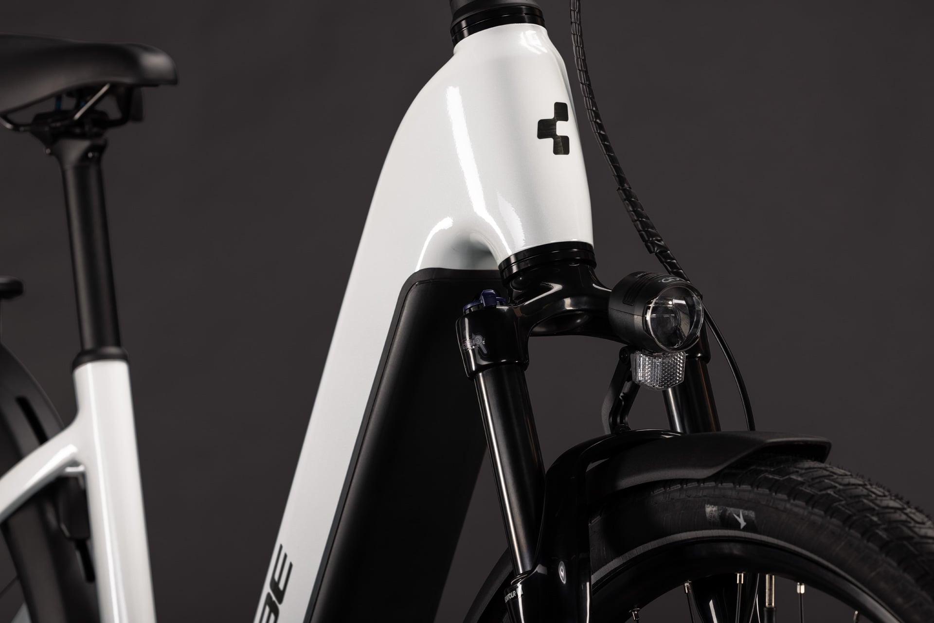 CUBE REACTION HYBRID RACE 800 29 Elektromountainbike – Lizard’n’Black