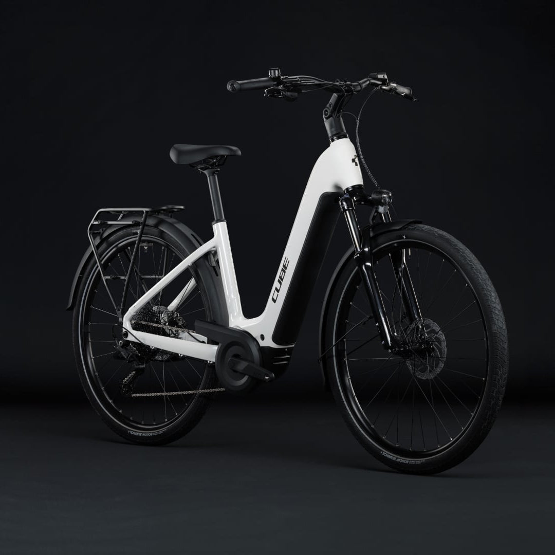 CUBE REACTION HYBRID RACE 800 29 Elektromountainbike – Lizard’n’Black