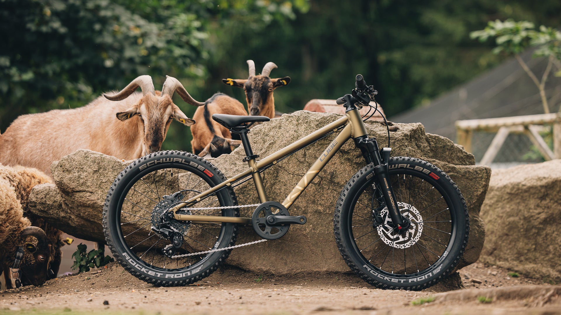 CUBE REACTION 200TM goldenlime´n´black bērnu velosipēds